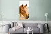 MuchoWow® Poster Pferd - Strand - Tiere 60x120 cm - Produktbild-Vorschau 5