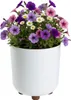 HowHomely | Vasi da fiori con piedini - Vasi per piante - Anteprima dell’immagine prodotto 7
