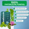 Cerebronis Gehirn Kapseln – Ginkgo, Bacopa monnieri, Produktbild-Vorschau 3