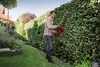 A man is trimming a hedge in a garden with a hedge trimmer. Produktbild-Vorschau