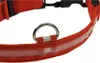 ChiliTec 22658 Hunde-Halsband leuchtend mit LED 52-60cm, Produktbild-Vorschau 6
