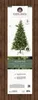 Sapin De Noël D'intérieur, Type Pin Allison, ø112 X 180 Cm Voir les images du produit 9