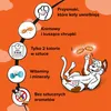 Dreamies Przysmak dla kota Mix smaków z kurczakiem i serem Podgląd zdjęcia produktu 3