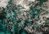 Vlies Fototapete - Scandinavian Green 200x140 cm Muster Produktbild-Vorschau 5