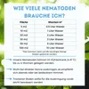 Futeco® – HB-Nematoden gegen Dickmaulrüssler & Engerlinge – Produktbild-Vorschau 3