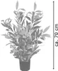 Photinia Plante Artificielle Artificiel avec Pot 70cm Voir les images du produit 6