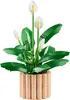 LEGO BOTANICALS 11504 Lys de la paix Voir les images du produit 3
