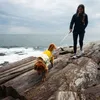 Ruffwear 05303, Pes, Pláštenka, M, Žltá, Nylon, Náhľad obrázku produktu 13