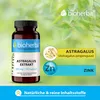 Bioherba Astragalus Extrakt 300 mg 100 Kapseln Produktbild-Vorschau 4