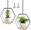 Hängende Pflanzen Hänger 2 Stück, 23 cm, Holzsockel, Produktbild-Vorschau 1