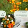Gewürztagetes Samen - Tagetes Saatgut aus biologischem Produktbild-Vorschau 3