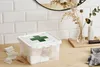 SmartStore Deco Contenitore Eerstehulp 8 litri 28 x 17 cm Anteprima dell’immagine prodotto 10