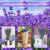 1 Schachtel natürlicher getrockneter Lavendel, farbecht, Produktbild-Vorschau 5