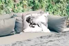 MuchoWow® Outdoor Kissen - Gemälde - Pferd - Tiere - Produktbild-Vorschau 2