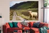 MuchoWow® Poster Schottische Highlander - Pfad - Wald Produktbild-Vorschau 2