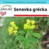 SAFLAX Darčeková sada - senovka grécka - Trigonella Náhľad obrázku produktu 4