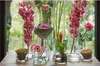 B-living Zylindervase aus Glas ø12xh20cm Produktbild-Vorschau 2