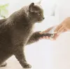 Xiaomi Pawbby Haustiere Haarschneider Hund Katze Rasierer Produktbild-Vorschau 4