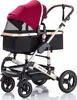 Passeggino Daliya® BAMBIMO 2in1 con ruote Airless, telaio Anteprima dell’immagine prodotto 12