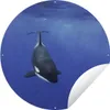 MuchoWow® Produktbild-Vorschau 1
