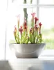 elho brussels Diamond Oval 36cm Übertopf - weiss Produktbild-Vorschau 6