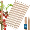 KOTARBAU® 15 Pièces Tuteur Tomate Bois de Hêtre 80 cm Voir les images du produit 1