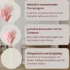 LAYBA Künstliches Pampasgras 3er-Set Rosa 100 cm, 18 Produktbild-Vorschau 3