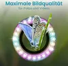 A butterfly is shown in front of a blurred green background, with a circular frame of colorful gemstones around it. Text is overlaid at the top of the image. Produktbild-Vorschau