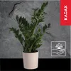 KADAX Blumentopf mit Holzspänen "Lecce", Blumentopfschutz, Produktbild-Vorschau 3