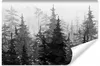 Muralo Selbstklebende Fototapete Schwarz-Weiß WALD Bäume Produktbild-Vorschau 1