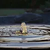 CLGarden Cortenstahl Wasserschale SCWS120 Gartenbrunnen Produktbild-Vorschau 10