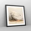 Gerahmtes Poster - Schwarzer Rahmen - Vogel Weiß Reiher - Produktbild-Vorschau 8