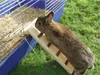 Kerbl Holzbrücke und Käfigausstieg NATURE Produktbild-Vorschau 3