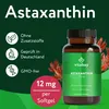 Vitabay Astaxanthin 12 mg – 180 vegane Softgel-Kapseln – Produktbild-Vorschau 2