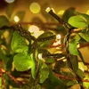 A close-up shot of string lights wrapped around green leaves, with water droplets on the leaves and lights. Produktbild-Vorschau