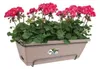 elho barcelona allin1 50cm Blumenkasten - taupe Produktbild-Vorschau 2