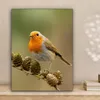 MuchoWow® - Leinwandbilder - Vogel - Rotkehlchen - Produktbild-Vorschau 2