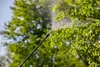 Gardena 11140-20, Rucksack-Gartenspritzer, 12 l, Grün, Produktbild-Vorschau 4