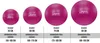 Gymnastiekbal LIFEFIT® anti-lek, 75 cm, bordeauxrood Productafbeelding-voorbeeld 2