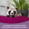Habibi Plush Premium Wärmetier Waschbär herausnehmbares Produktbild-Vorschau 5