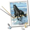 Ravensburger Malen nach Zahlen 28565 - Pferd am Strand – Produktbild-Vorschau 5