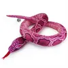 A plush snake toy with a pink and purple patterned body and a red tongue sticking out, coiled on a white background. Produktbild-Vorschau