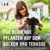 Compo-Sana Balkon- und Kübelpflanzenerde 50 Liter Produktbild-Vorschau 3