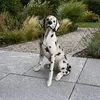 Relaxdays Gartenfigur Hund, Dalmatiner Figur, HxBxT: 83 x Produktbild-Vorschau 3
