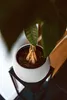 A close-up shot of a potted plant with braided roots, placed on a black stand. Produktbild-Vorschau