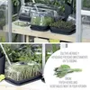 A split image showing two different stages of a tabletop greenhouse for growing herbs and vegetables, with promotional text in Spanish and English. Náhled obrázku produktu