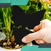 Kuketo | Insektenfalle Motten - Schwarz - 12 Stück - Produktbild-Vorschau 6