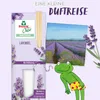 Frosch® 682484 Frosch® Raumduft Oase blumig 90,0 ml, 1 St. Náhľad obrázku produktu 8