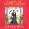 A Court of Thorns and Roses Coloring Book Produktbild-Vorschau 1