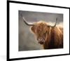 MuchoWow® Gerahmtes Poster Schottischer Highlander - Hörner Produktbild-Vorschau 1